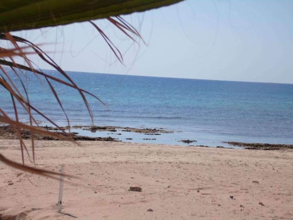 איה נאפה Villa Alexandra מראה חיצוני תמונה
